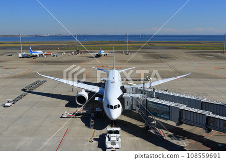 Passenger plane preparing for departure Loading cargo, connecting boarding bridge 108559691