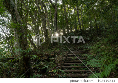 stairs in the mountains 108559843