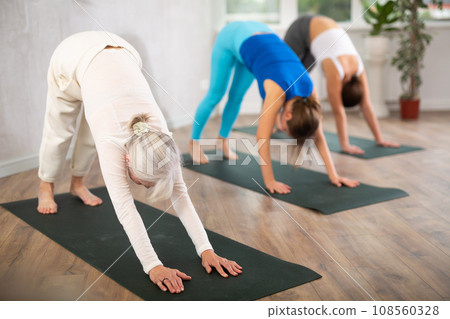 European sport women practice the dog pose face down 108560328