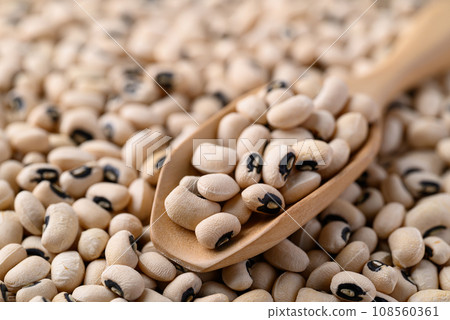 Black eye peas or cowpeas with spoon, Food ingredients Black eye peas or cowpeas with spoon, Food ingredients 108560361