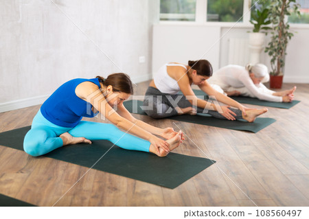 Young fit woman doing Janu Sirsasana asana in yoga class 108560497