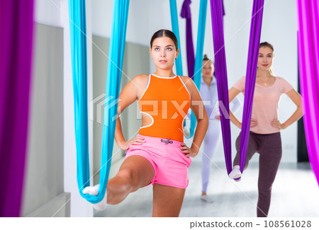 Group of beautiful yoga women doing aerial yoga practice in hammocks in fitness club 108561028