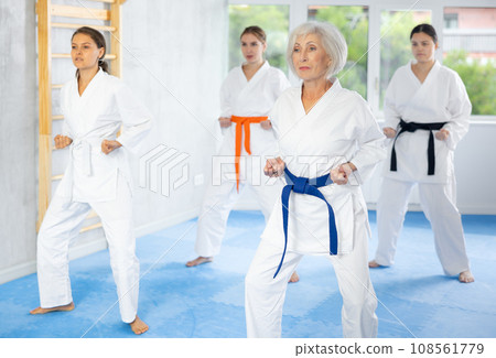 Group of women training karate techniques in studio Group of women training karate techniques in studio 108561779