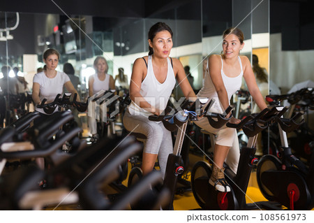 Women training on stationary bikes at gym Women training on stationary bikes at gym 108561973