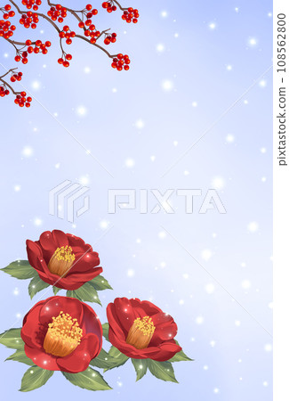 山茶花和南方天空的背景，冬天的問候，雪景 108562800