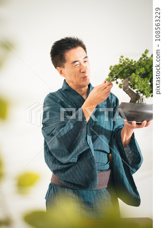 Senior man looking at his hobby bonsai Senior man looking at his hobby bonsai 108563229