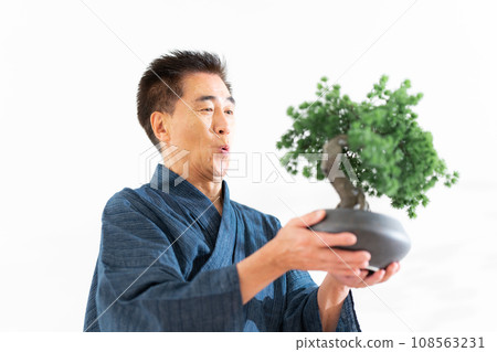Senior man looking at his hobby bonsai Senior man looking at his hobby bonsai 108563231