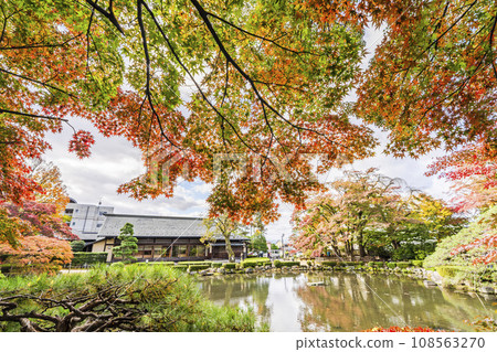 Autumn scenery of Momiji Park, Yamagata City, Yamagata Prefecture Autumn scenery of Momiji Park, Yamagata City, Yamagata Prefecture 108563270