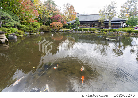 Autumn scenery of Momiji Park, Yamagata City, Yamagata Prefecture Autumn scenery of Momiji Park, Yamagata City, Yamagata Prefecture 108563279