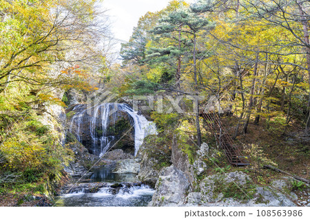 Scenery of autumn leaves Sekiyama Falls in autumn Higashine City, Yamagata Prefecture Scenery of autumn leaves Sekiyama Falls in autumn Higashine City, Yamagata Prefecture 108563986