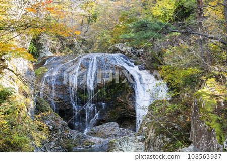 Scenery of autumn leaves Sekiyama Falls in autumn Higashine City, Yamagata Prefecture Scenery of autumn leaves Sekiyama Falls in autumn Higashine City, Yamagata Prefecture 108563987
