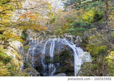 Scenery of autumn leaves Sekiyama Falls in autumn Higashine City, Yamagata Prefecture Scenery of autumn leaves Sekiyama Falls in autumn Higashine City, Yamagata Prefecture 108563988