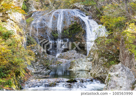Scenery of autumn leaves Sekiyama Falls in autumn Higashine City, Yamagata Prefecture 108563990