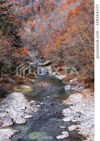 Shiraoi River in late autumn seen from the bridge over Prefectural Route 86 in Shiraoi Town, Hokkaido [October] 108564237
