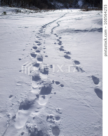 Footprints on the snow Footprints on the snow 108564255