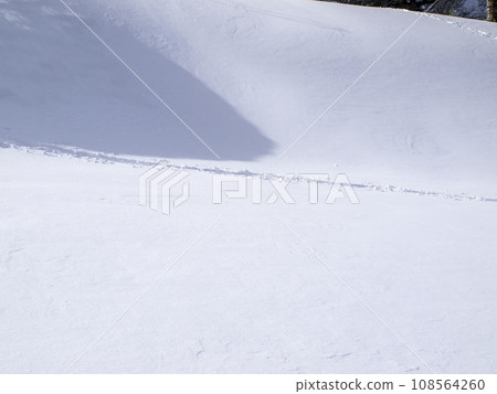 Footprints on the snow 108564260