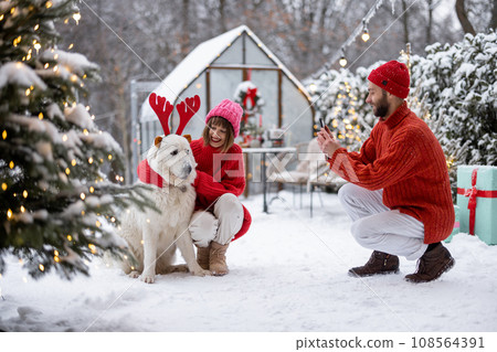 Young family with a dog celebrate winter holidays 108564391