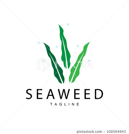 Seaweed Logo Design, Underwater Plant Design Illustrations, Cosmetics and Food Ingredient 108564843