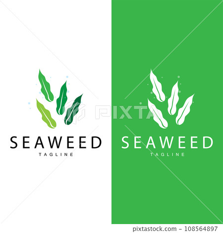 Seaweed Logo Design, Underwater Plant Design Illustrations, Cosmetics and Food Ingredient Seaweed Logo Design, Underwater Plant Design Illustrations, Cosmetics and Food Ingredient 108564897