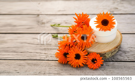 Cream for body care with calendula. Cosmetic cream for cleansing the skin with calendula flowers. Medical Dermatology. Fresh orange calendula flowers on a wooden background in nature. Cream for body care with calendula. Cosmetic cream for cleansing the skin with calendula flowers. Medical Dermatology. Fresh orange calendula flowers on a wooden background in nature. 108565563