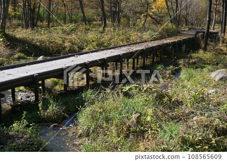 wooden bridge over a stream in the forest 108565609