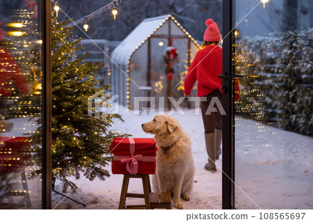 Woman and dog on backyard during winter holidays Woman and dog on backyard during winter holidays 108565697