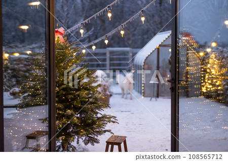 Beautiful snowy backyard on winter holidays Beautiful snowy backyard on winter holidays 108565712