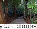 Mysterious cobblestones of Kumano Kodo 108566030