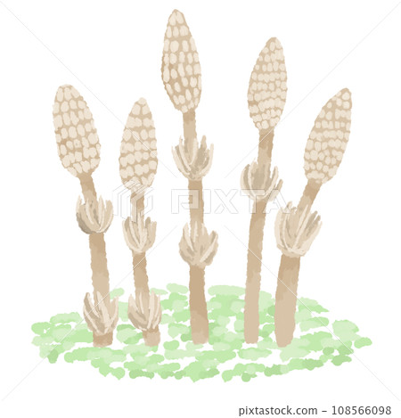 筑紫 筑紫 108566098