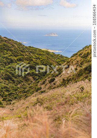 View of Keelung Island in Miscanthus Valley 108566434
