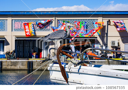 A gray heron perches on a fishing boat decorated with a big catch flag (Fujisawa City, Kanagawa Prefecture) 108567335