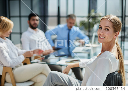 Successful meeting of business people, discussing new business ideas 108567434