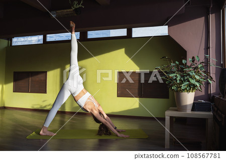 A young woman leading a healthy lifestyle and practicing yoga, performs a variation of the exercise of Adho Mukha Schwanasana, a dog pose with a muzzle down with an outstretched leg A young woman leading a healthy lifestyle and practicing yoga, performs a variation of the exercise of Adho Mukha Schwanasana, a dog pose with a muzzle down with an outstretched leg 108567781