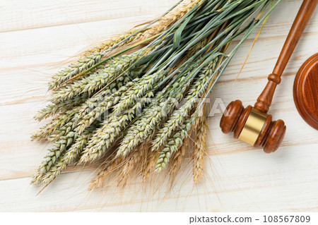 Hammer and ears of wheat with barley on a light wooden background, concept on the topic of grain trade, top view Hammer and ears of wheat with barley on a light wooden background, concept on the topic of grain trade, top view 108567809