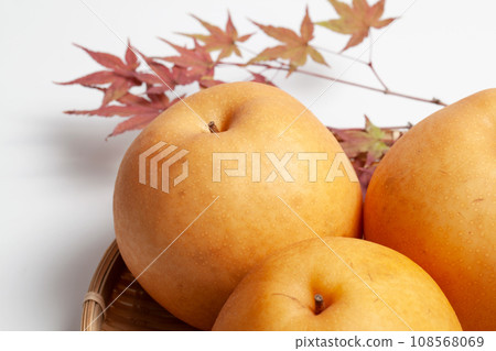 Autumn fruit Pears are loved by both adults and children. 108568069