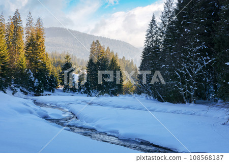 winter landscape with river and mountain in the distance. spruce forest on the snow covered shore in carpathian rural area on a sunny day winter landscape with river and mountain in the distance. spruce forest on the snow covered shore in carpathian rural area on a sunny day 108568187
