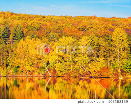 landscape with lake in autumn. nature background with trees in colorful foliage. warm sunny weather landscape with lake in autumn. nature background with trees in colorful foliage. warm sunny weather 108568189