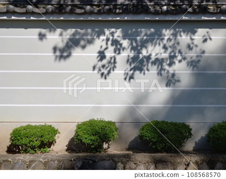 The shadow of leaves reflected on the music fence The shadow of leaves reflected on the music fence 108568570