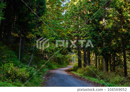 Misato Skyline Forest Road Azumino City Misato Skyline Forest Road Azumino City 108569052