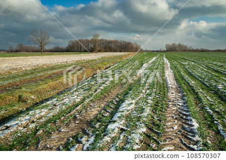 The first snow and frozen ground on a farm field The first snow and frozen ground on a farm field 108570307
