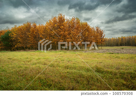 Meadow and autumn forest on a cloudy day Meadow and autumn forest on a cloudy day 108570308
