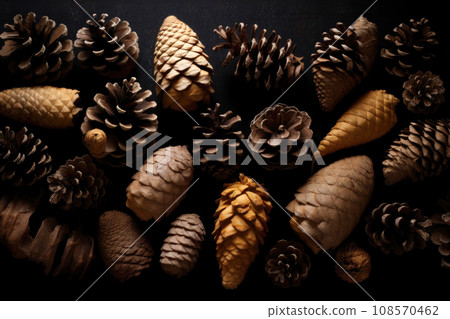 Pinecones on a dark background. Generative AI 108570462