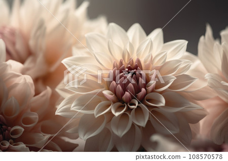 Pink dahlia flowers bouquet close up. Generative AI 108570578