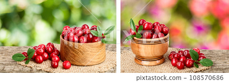 Cranberry with leaf in wooden bowl on old wooden table with blurry garden background Cranberry with leaf in wooden bowl on old wooden table with blurry garden background 108570686