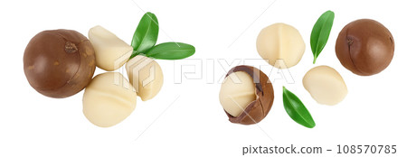 macadamia nuts isolated on white background with full depth of field. Top view. Flat lay. macadamia nuts isolated on white background with full depth of field. Top view. Flat lay. 108570785