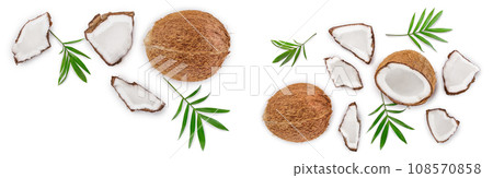 coconut with leaves isolated on white background with copy space for your text. Top view. Flat lay coconut with leaves isolated on white background with copy space for your text. Top view. Flat lay 108570858