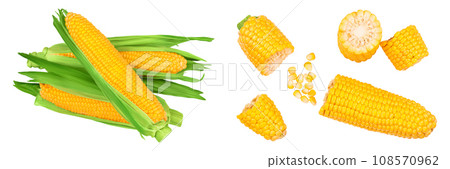 ear of corn isolated on a white background. Clipping path. Top view. Flat lay 108570962