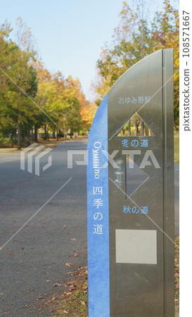 [千葉縣千葉市] 秋道公園附近的大湯野/四季之道（冬秋道路的交叉點） 108571667