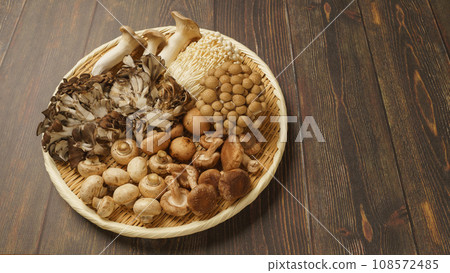 什錦菇│杏鮑菇、舞茸、花菇、金針菇、香菇、菇 什錦菇│杏鮑菇、舞茸、花菇、金針菇、香菇、菇 108572485