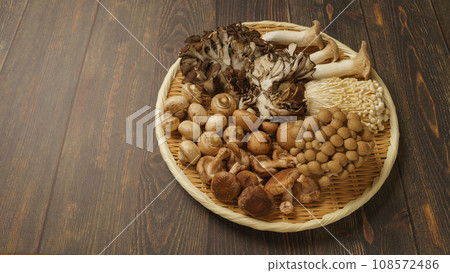 Assorted mushrooms│Eringi mushrooms, maitake mushrooms, bunshimeji mushrooms, enoki mushrooms, shiitake mushrooms, mushrooms 108572486